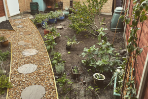 Garden Revamp