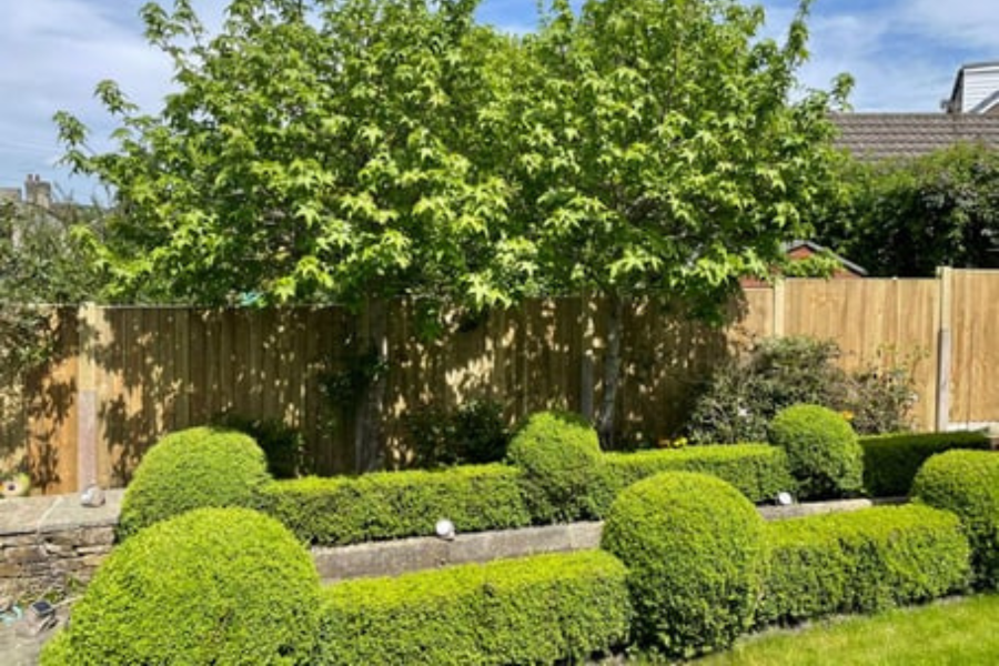 garden design