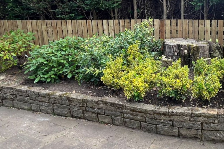 Quality Landscaping